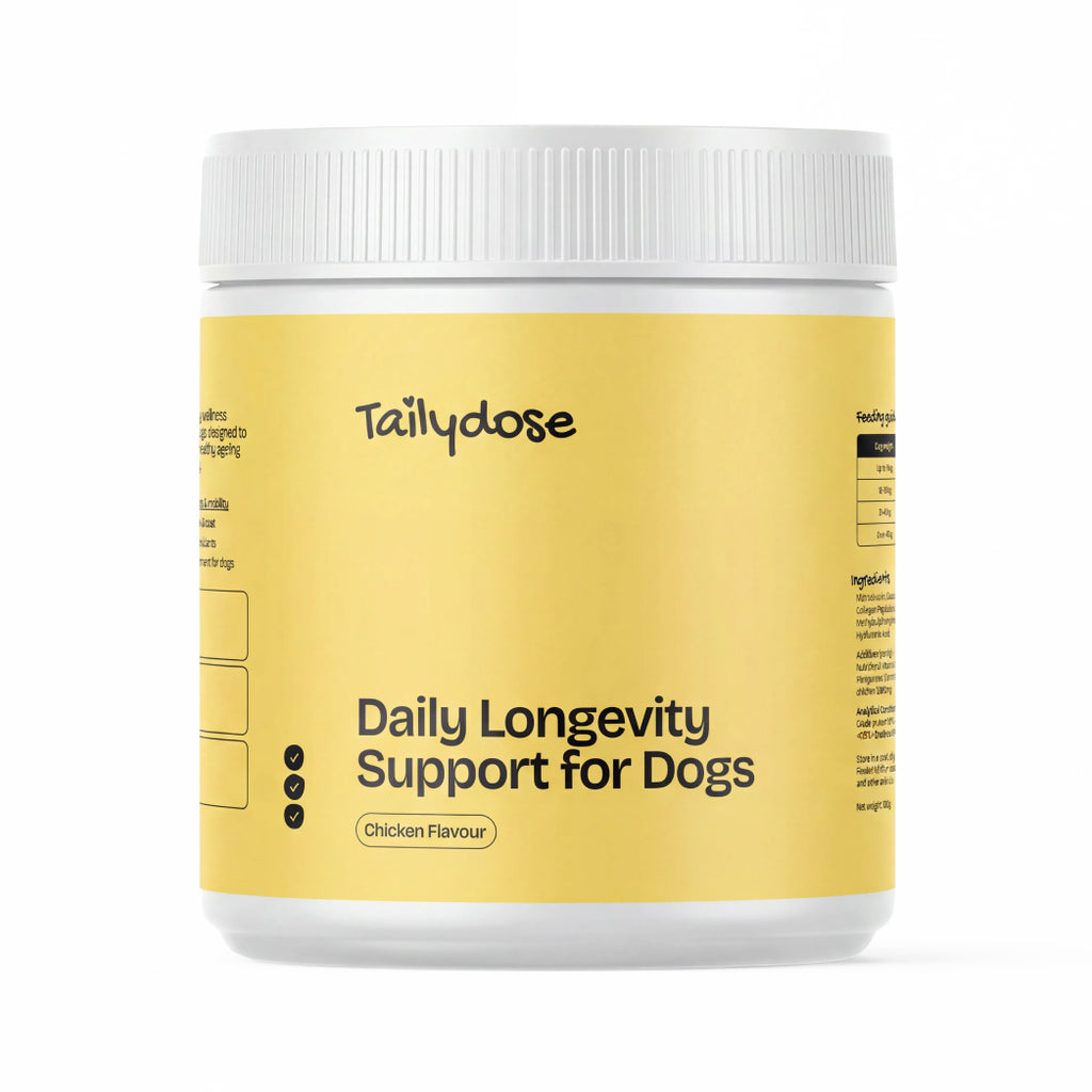 Daily Longevity Supplement for Dogs
